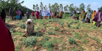 Balad-amiin Lead farmers training photo